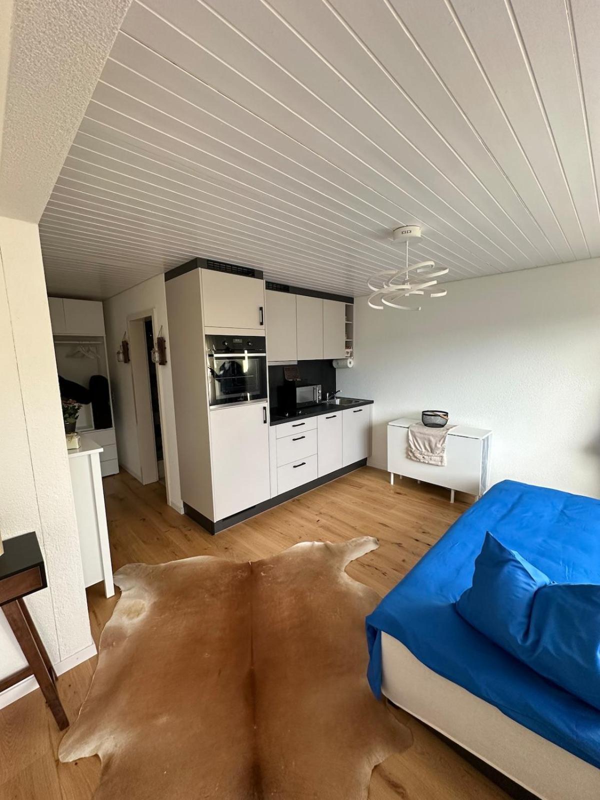 Gaestehaus Maryvitty, Zentrale Zwischen Aarau Und Olten, Gut Verbunden Schönenwerd